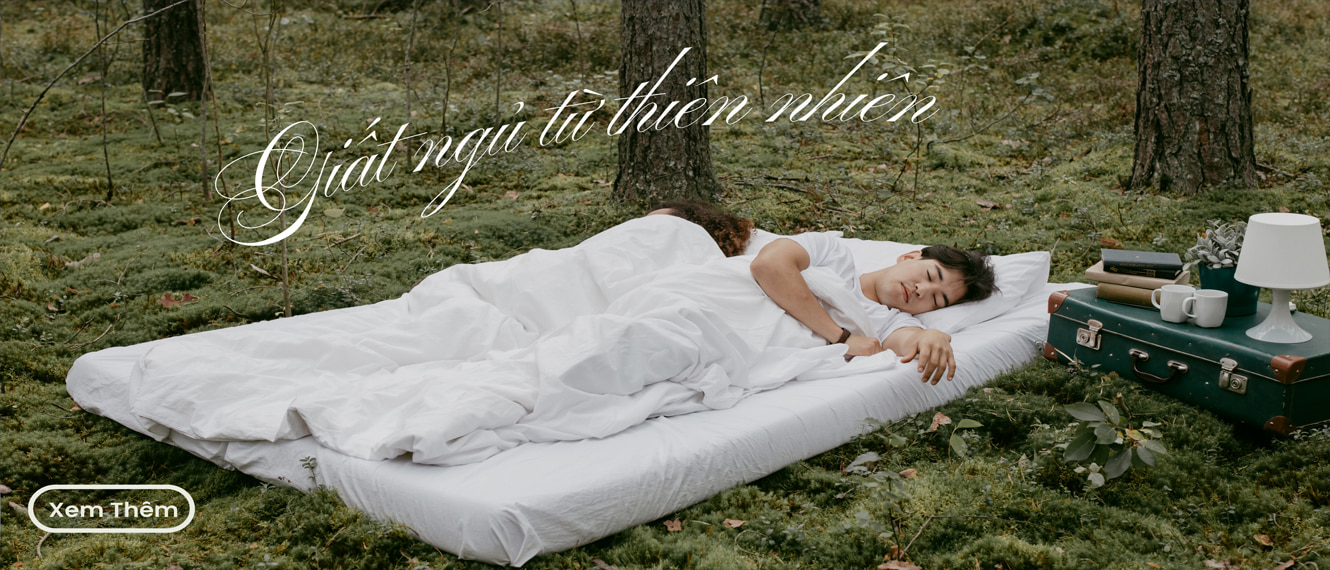giất ngủ từ thiên nhiên