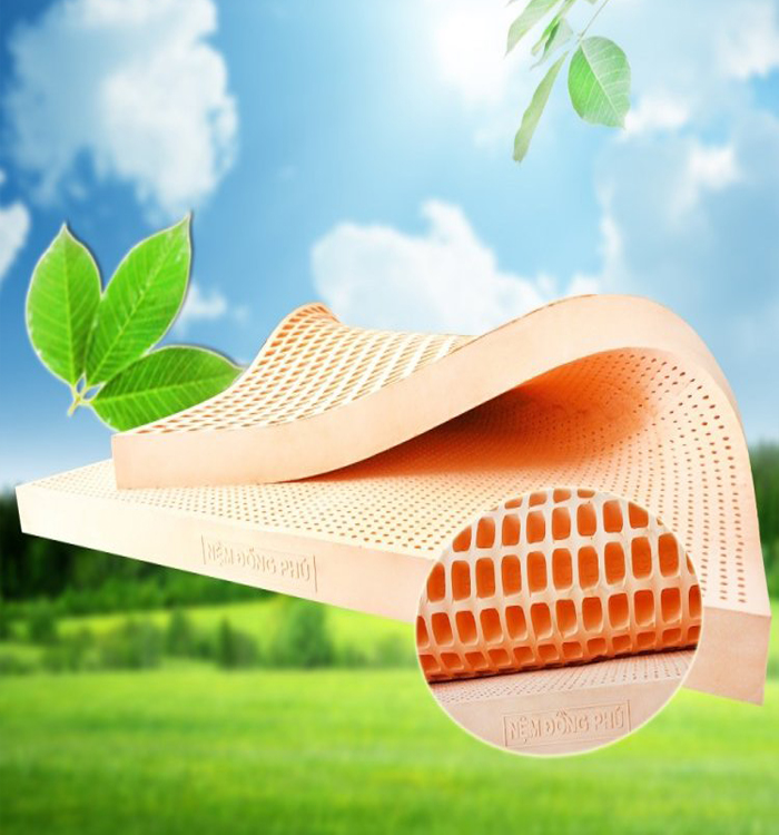 Nệm Cao Su Đồng Phú Friendly