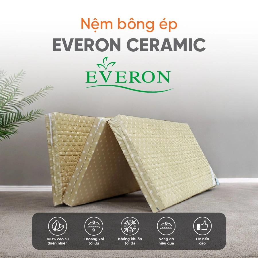 nệm bông ép everon ceramic